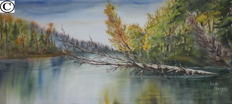 003souffle du sud 16 - 34po 2013