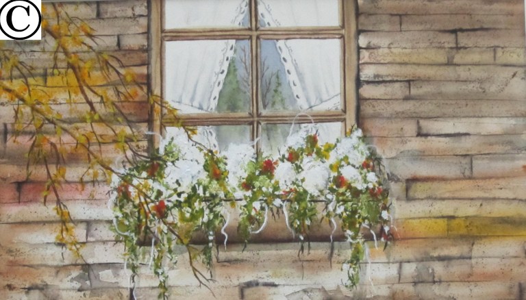 017 Blanc pure 9po -13½po vendu 2014