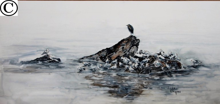 031 Le gardien        12po  24po            $ 390.00